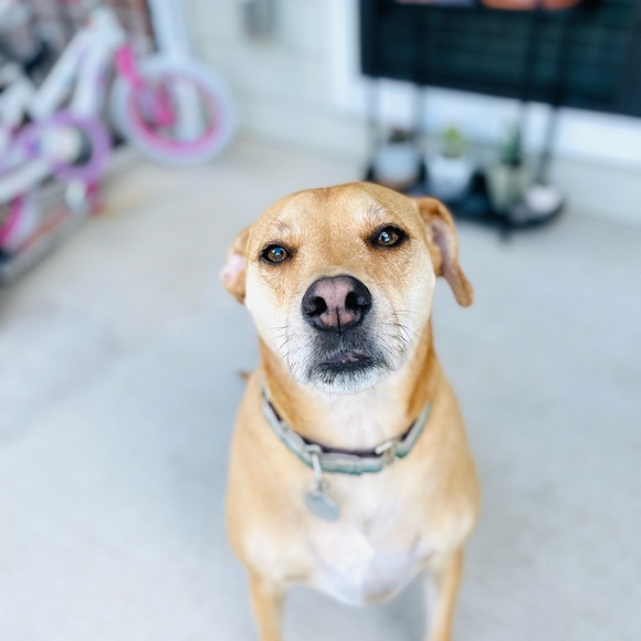 Meet My Family 🌲 - Picture 8 of 16